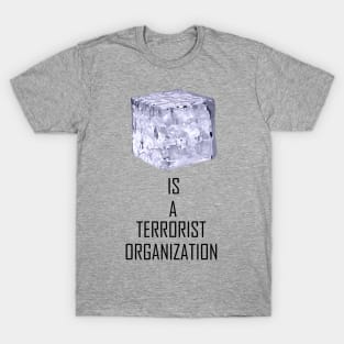 ICE Is A Terrorist Organization T-Shirt
